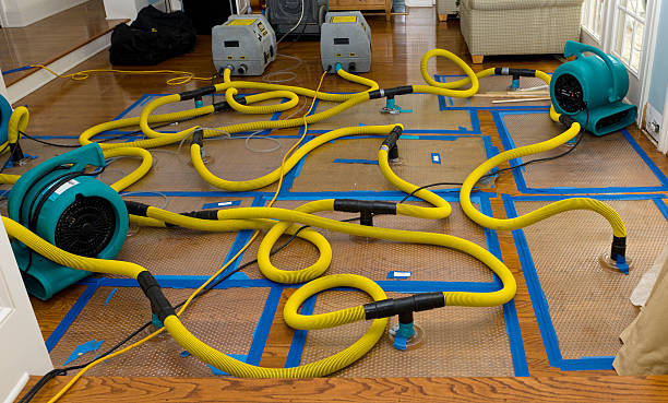 Professional Basement Flood Cleanup technician working in Benton City, MO